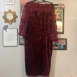 Maroon-like Velvet Sequin Dress